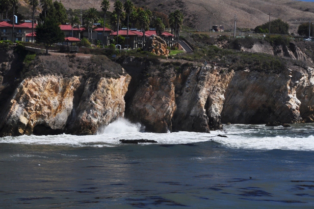 Shell Beach
